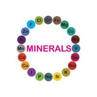 Mineralien Mikroelemente und Makroelemente, nützlich für die menschliche Gesundheit. Grundlagen gesunder Ernährung und gesunder Lebensweise. vektor
