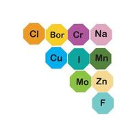 Mineralien Mikroelemente und Makroelemente, nützlich für die menschliche Gesundheit. Grundlagen gesunder Ernährung und gesunder Lebensweise. vektor