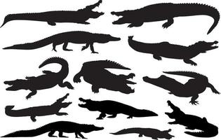 Alligator-Silhouette-Set vektor