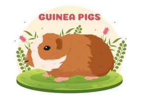 guinea gris husdjur hamstrar djur raser lämplig för affisch eller hälsning kort i platt söt tecknad serie hand dragen mallar illustration vektor