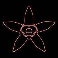 Neon-Vanille-Blume rote Farbe Vektor Illustration Bild flachen Stil