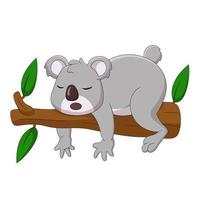 söt koala tecknad serie sovande på en gren. söt djur- tecknad serie vektor