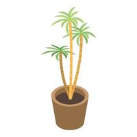 Zimmerpflanze Palme Symbol, isometrischer Stil vektor