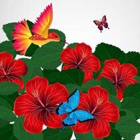 blommig design bakgrund. hibiskus blommor med fågel, fjärilar. vektor