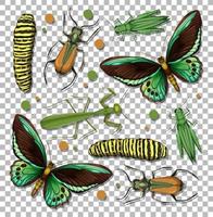 Satz von verschiedenen Insekten auf transparentem Hintergrund vektor