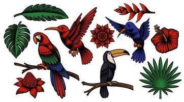 uppsättning färgglada tropiska fåglar och exotiska blommor vektor