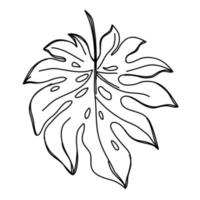 Blume eine Strichzeichnung. floraler minimalistischer Stil. Natursymbol. botanischer Druck. fortlaufende Strichzeichnungen. Blumen drucken. minimalistische botanische zeichnung. Vektor eps 10.