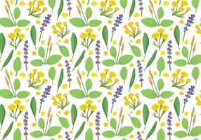 Free Herbs Plantain Pattern Vektoren