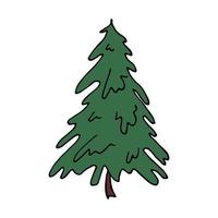 weihnachtsbaum hand gezeichnete clipart. Fichte Gekritzel. einzelnes element für karte, druck, web, design, dekor vektor