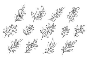 hand gezeichneter zweig mit beeren clipart. Weihnachts-Doodle-Set. winterliche Gestaltungselemente vektor