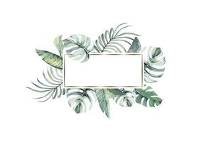 tropische pflanzenblätter, monstera-hintergrund. rahmenblätter mit aquarell. botanischer hintergrund. vektor