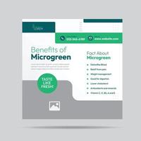 Microgreen Benefit Social Media Post Design und Bannervorlage für Microgreen Plantage Company vektor