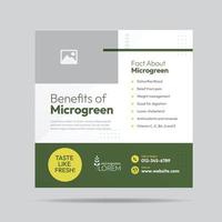 microgreen fördel social media posta design och microgreen plantage företag baner mall vektor