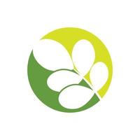 Moringa Blatt Logo Vorlage Vektor Symbol Natur