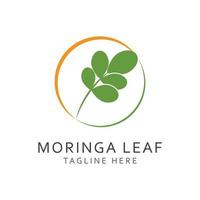 Moringa Blatt Logo Vorlage Vektor Symbol Natur