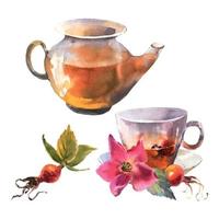 aquarellillustration, teekanne und tasse verziert mit rosa hundsrosenblumen und roten beeren, hagebuttenanordnungsclipart, lokalisiert auf weißem hintergrund vektor