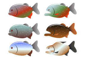 Farlig Piranha Fish Vector