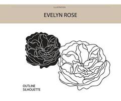 Evelyn Rose Silhouettenvektor vektor