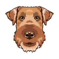söt airedaile terrier hund ansikte vektor illustration i söt tecknad serie stil, perfekt för barn t skjorta design och maskot logotyp