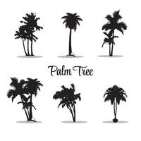 Palmensymbole gesetzt. 6 schwarze Palmenschattenbilder lokalisiert auf weißem Hintergrund. palmen, kokosnusssymbole. Vektor-Illustration
