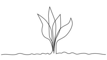 Single Continuous Line Art wachsender Sprössling. Pflanzenblätter Samen wachsen Boden Sämling Öko Naturfarm Konzeptdesign vektor