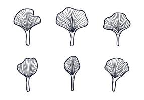 ginkgo leafes illustration vektor