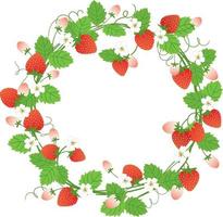 uppsättning av stawberry sommar frukt vektor