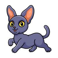 söt peterbald katt tecknad serie gående vektor