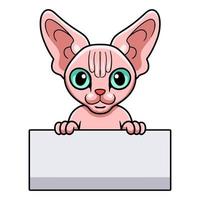 niedliche sphynx-katzenkarikatur, die leeres zeichen hält vektor