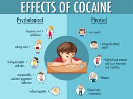 Auswirkungen von Kokain Informationen Infografik vektor