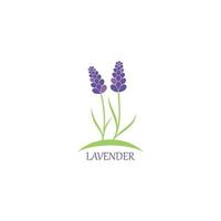 lavendel- blommig aromatisk logotyp vektor ikon illustration