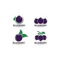 Blaubeer-Logo-Vektor-Vorlage-Symbol-Illustration vektor