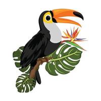 toucan en trevlig bard affisch vektor