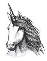 enhörning häst huvud skiss för tatuering design vektor
