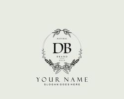 anfängliches db-schönheitsmonogramm und elegantes logo-design, handschriftliches logo der ersten unterschrift, hochzeit, mode, blumen und botanik mit kreativer vorlage. vektor