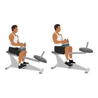 man håller på med övning använder sig av Gym Utrustning. sittande kalv maskin höjer. platt vektor illustration isolerat på vit bakgrund