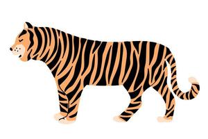 niedlicher handgezeichneter Tiger isoliert auf weißem Hintergrund vektor