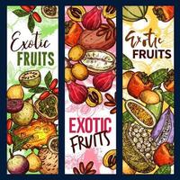 exotische tropische früchte organische ernteskizze vektor