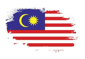 moderner pinselstrichrahmen malaysia flaggenvektor vektor