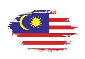 splash grungy malaysia flag design vektor