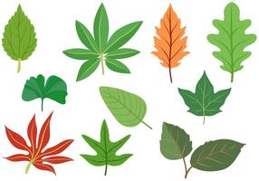 Freie Blätter Vektoren