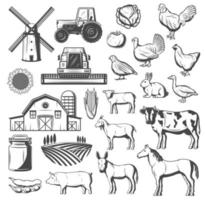 Bauernhof, Landwirtschaft und Viehvektor vektor