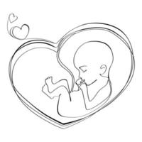 bebis i de livmoder hjärta formad med navel- sladd linje teckning logotyp, ikon, tatuering, affisch, tryck design mall.vektor illustration embryo i de livmoder liner ritning, svart och vit skiss vektor