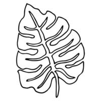die Monstera verlassen in Schwarz-Weiß-Farben. handgezeichnetes Gestaltungselement. Vektor isoliert. Strichzeichnung.