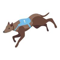 hund sprinta ikon isometrisk vektor. djur- sällskapsdjur vektor