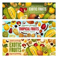 exotisk frukt och bär. tropisk mat, dryck vektor