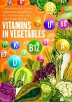 vitamin mat källa i grönsaker vektor