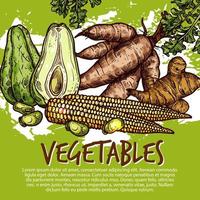 exotisk grönsaker och ätlig rötter, vektor