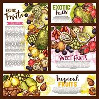 exotisk tropisk frukter, vektor skiss