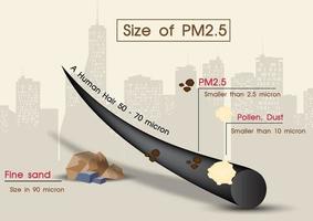 närbild och exempel mänsklig hår jämföra med storlek av pollen, bra sand och PM 2,5 på landskap stad se bakgrund. affisch av infographic handla om PM 2,5 toxisk damm i vektor design.